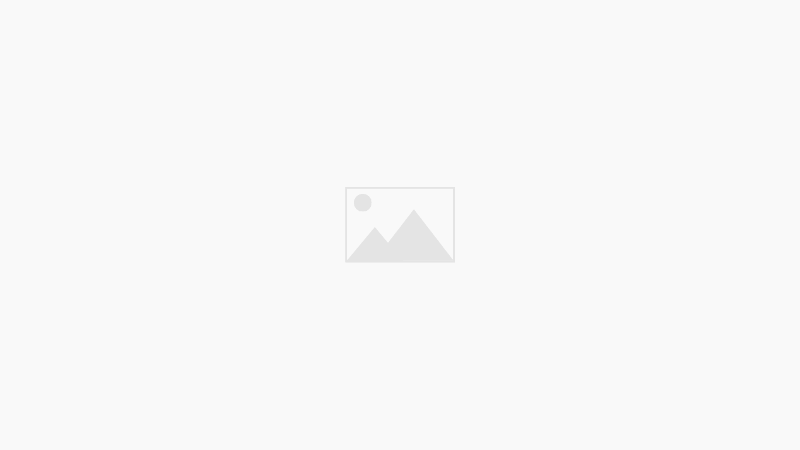 観葉植物全品5%offのゴールデンウイークSALE
