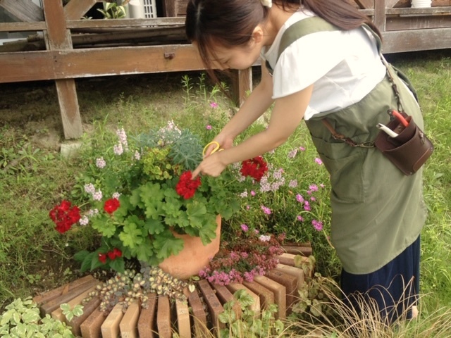 西宮市 花壇メンテナンス シードガーデン