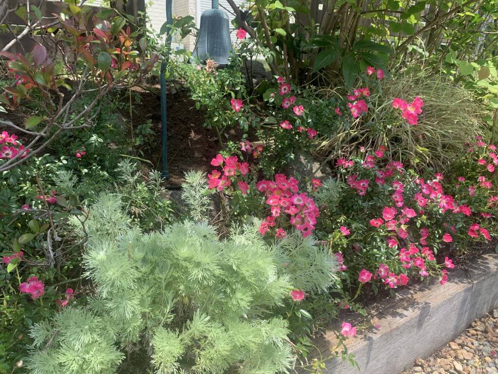 西宮 庭木 剪定 スケジュール