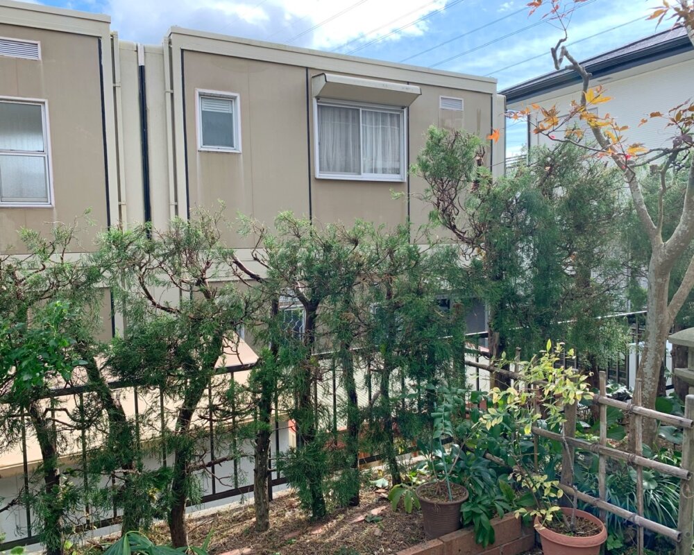 1DD2A430-DAA3-40A4-A030-4AA39214C76B 神戸市北区 庭木剪定 カイズカ アフター