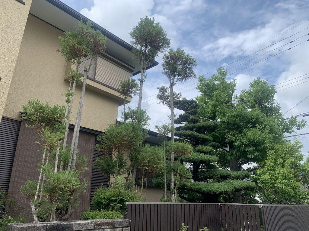 神戸市北区 庭木剪定 ビフォー