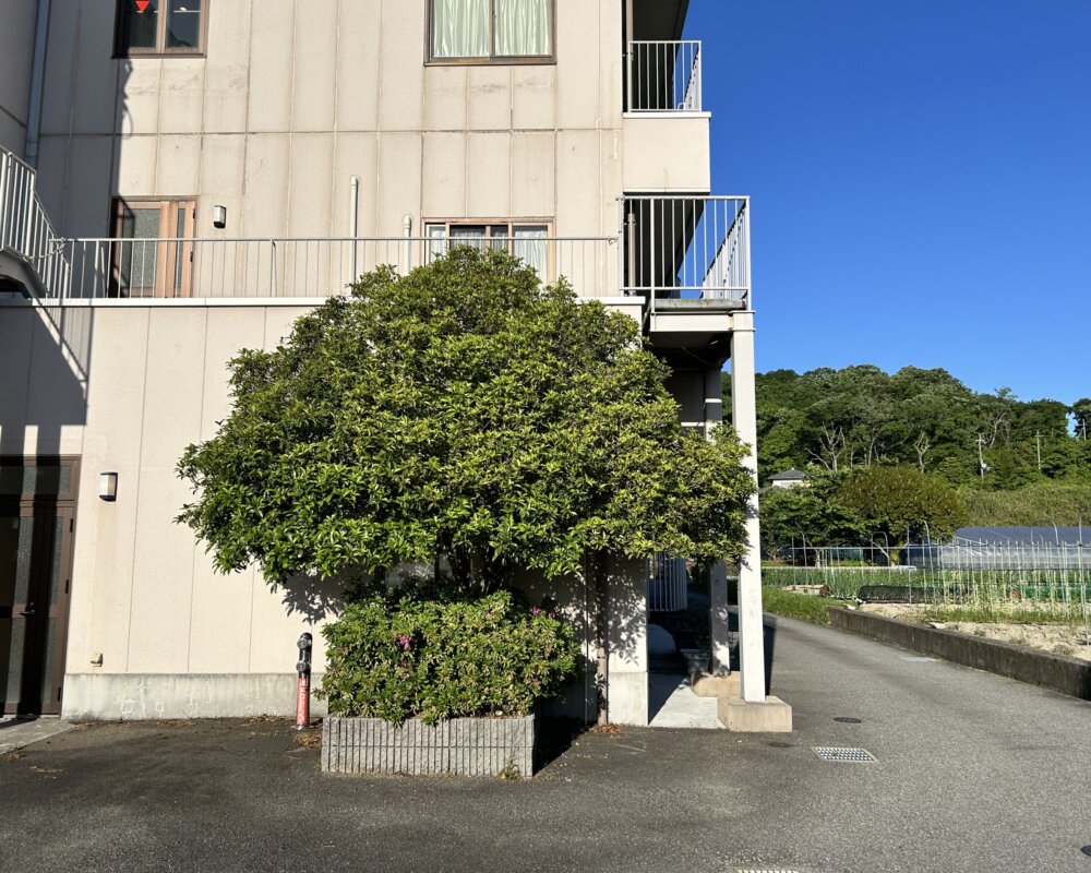 IMG_6518 神戸市 施設 植栽管理 作業前