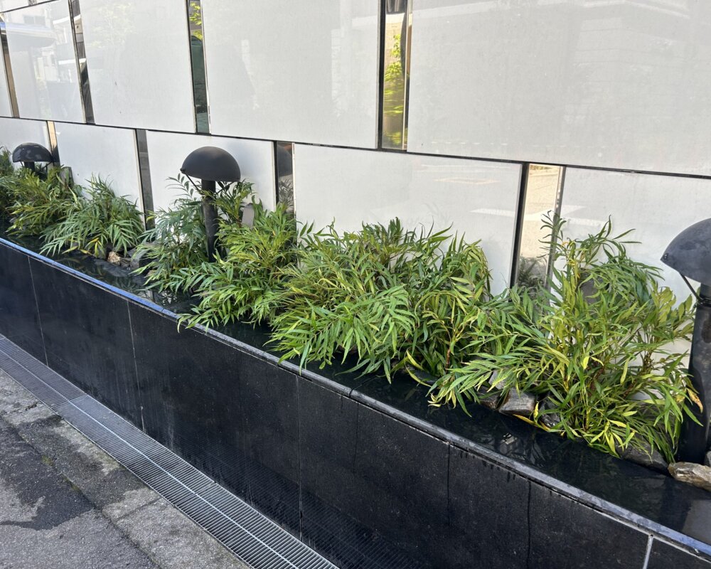 大阪府　商業施設　植栽デザイン　アフター