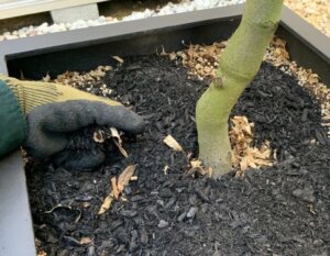 西宮市 木炭 マルチング 花壇