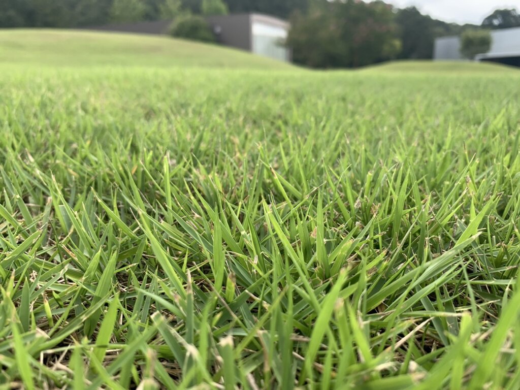 加東市　芝生管理