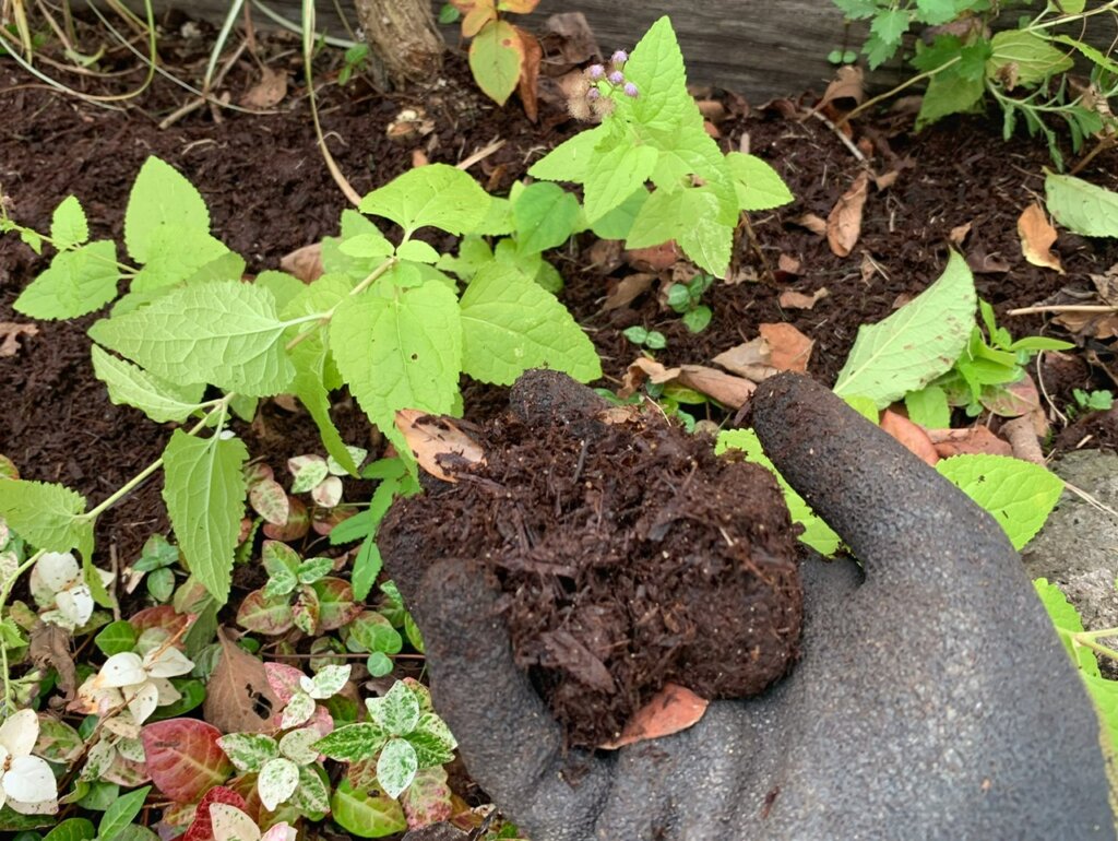 西宮 腐葉土土壌改良