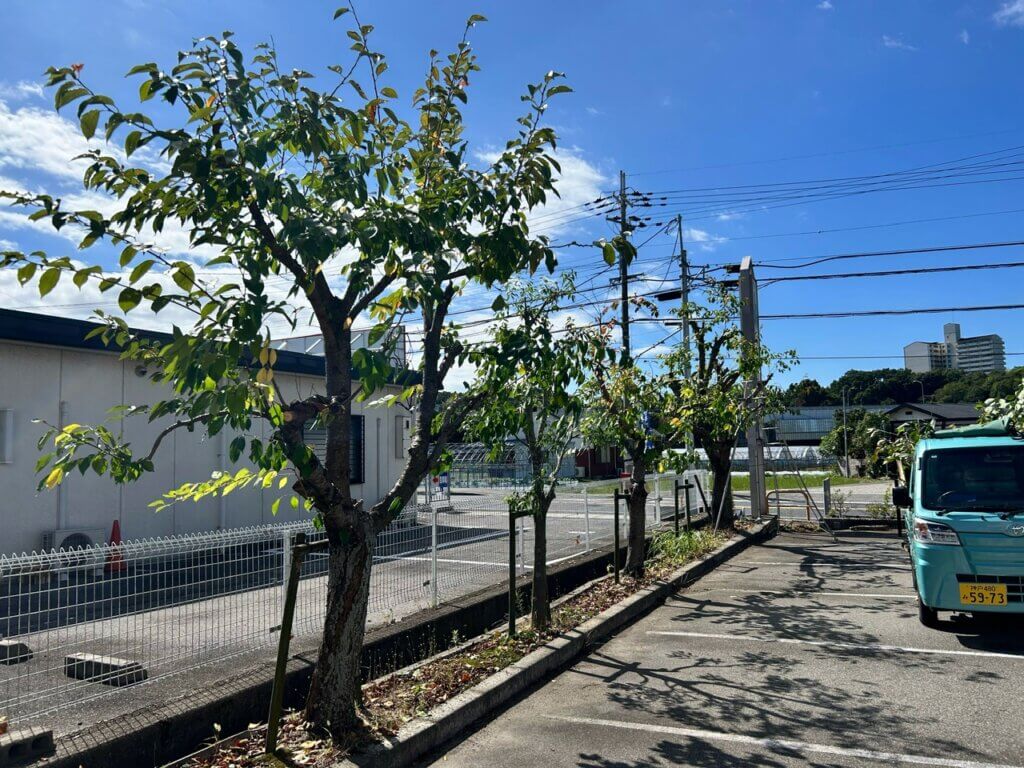 神戸市北区施設 植栽管理 施工事例 アフター